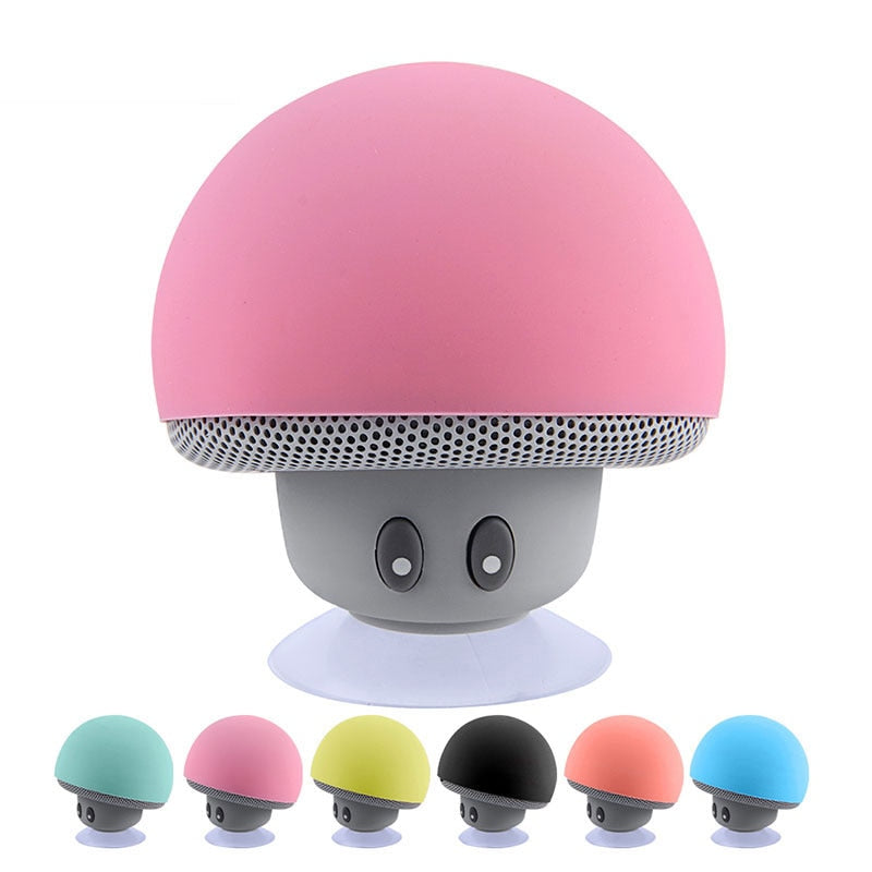 Mini Bluetooth Speaker